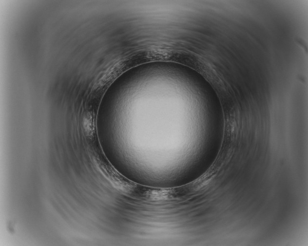 X0000100780134200806261638