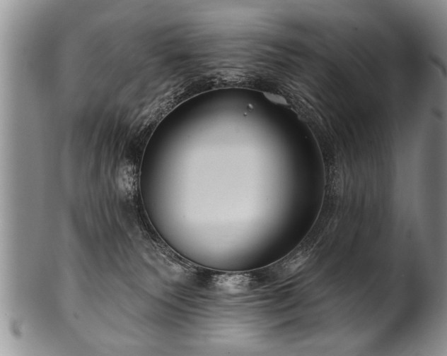 X0000100780135200806261638