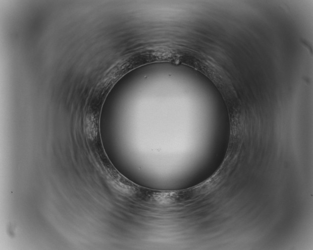 X0000100780136200806261638