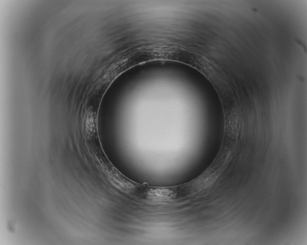 X0000100780137200806261638