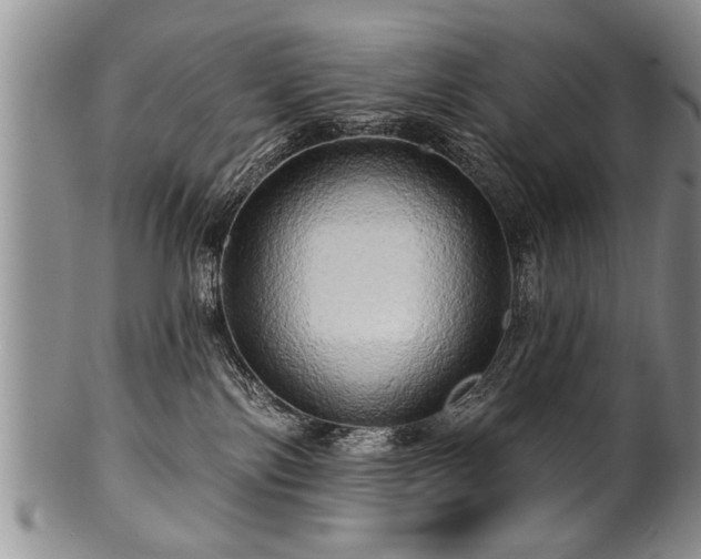 X0000100780138200806261638