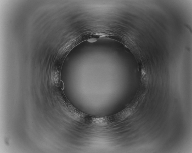 X0000100780139200806261638