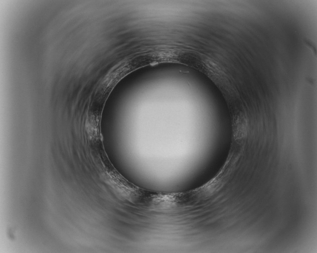 X0000100780140200806261638