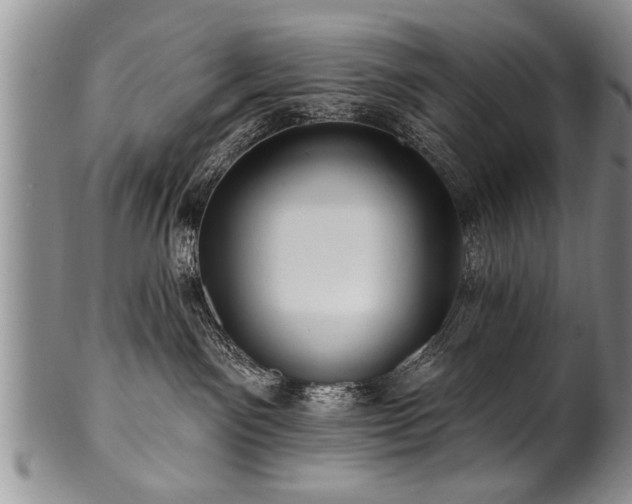 X0000100780141200806261638