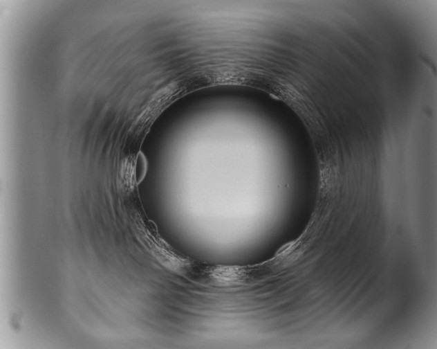 X0000100780142200806261638