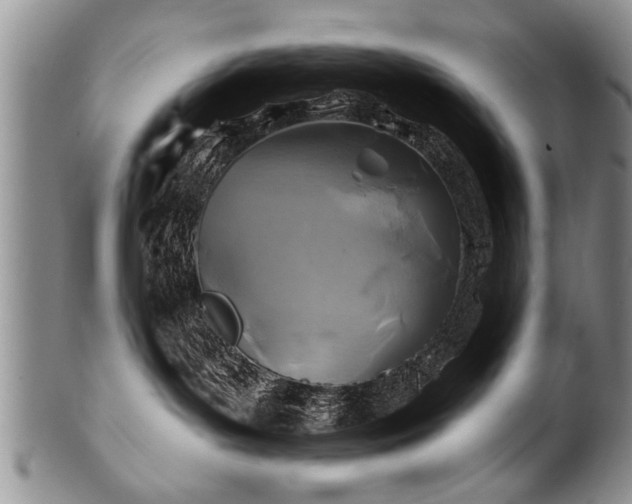 X0000100780143200806261638