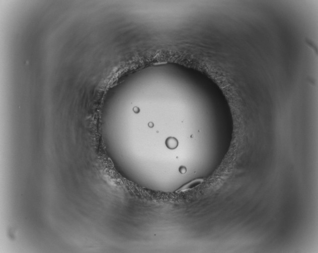 X0000100780144200806261638