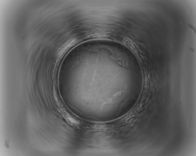 X0000100780145200806261637