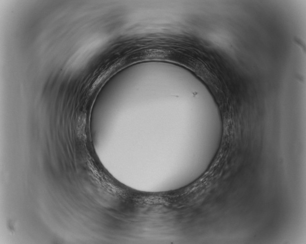 X0000100780146200806261637