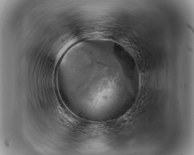 X0000100780147200806261637