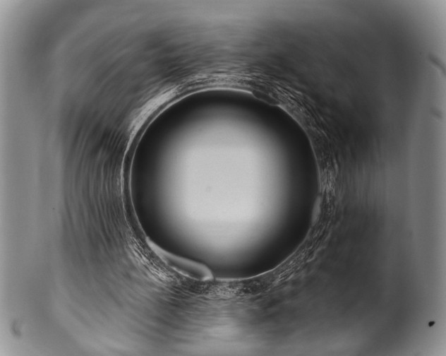 X0000100780148200806261637