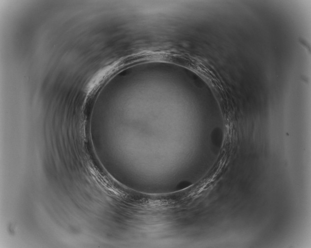 X0000100780149200806261637