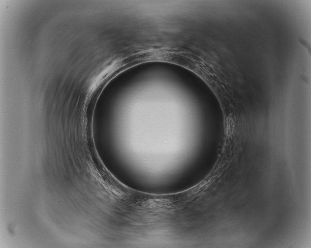 X0000100780150200806261637