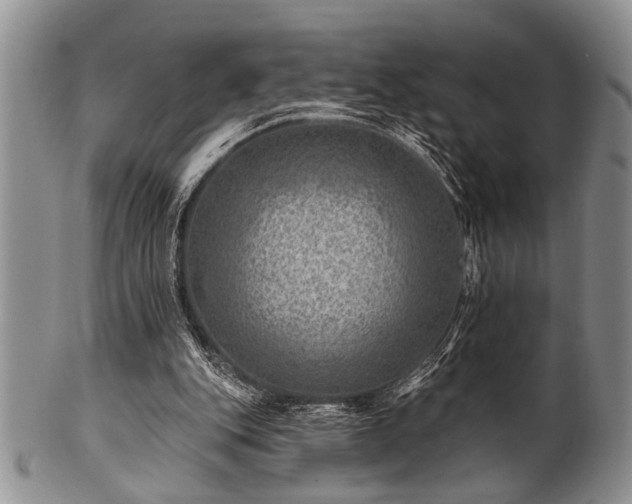 X0000100780151200806261637