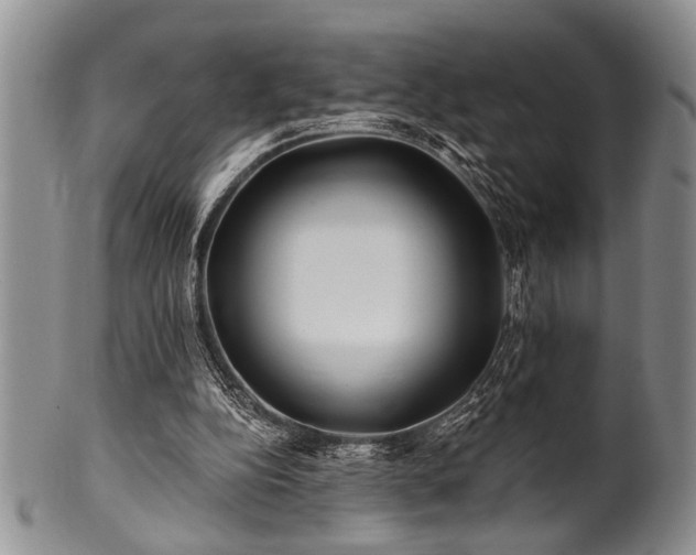 X0000100780152200806261637