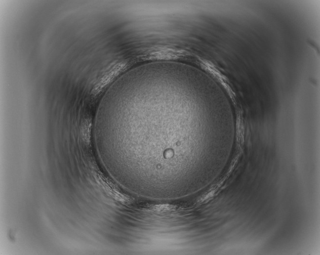 X0000100780153200806261637