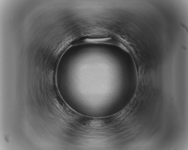 X0000100780154200806261637