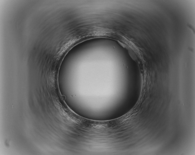 X0000100780155200806261637