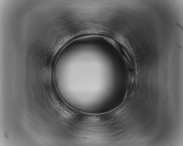 X0000100780156200806261637