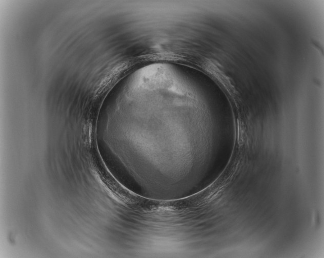 X0000100780157200806261637