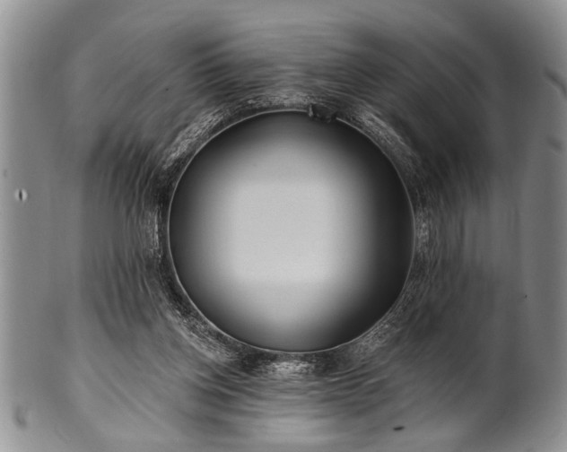 X0000100780158200806261637