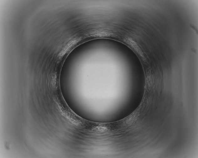 X0000100780159200806261637