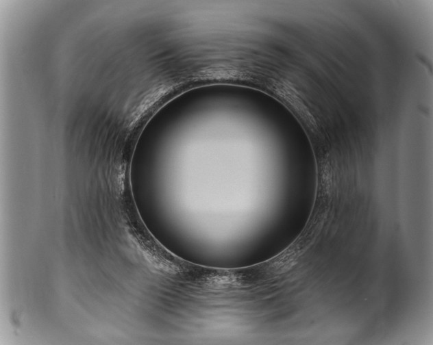 X0000100780160200806261637