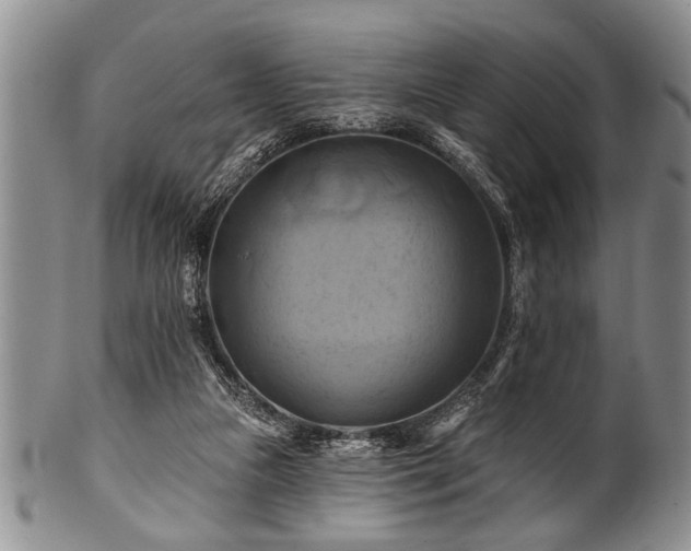 X0000100780161200806261637