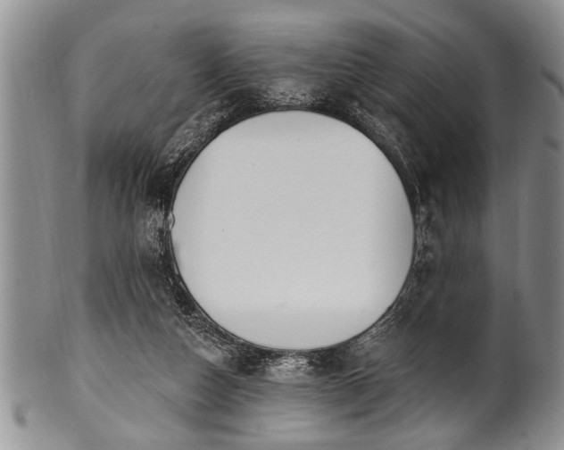 X0000100780162200806261637