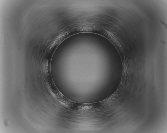 X0000100780163200806261637