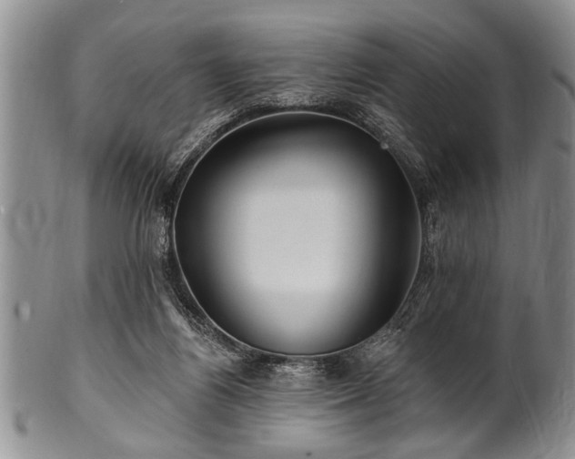 X0000100780164200806261637