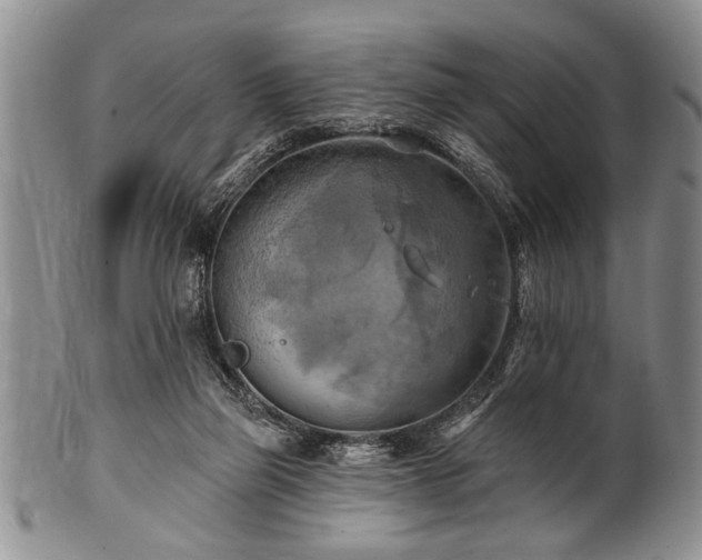 X0000100780165200806261637