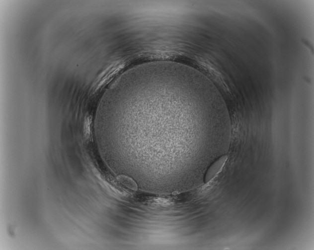 X0000100780166200806261637