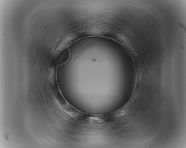 X0000100780167200806261637