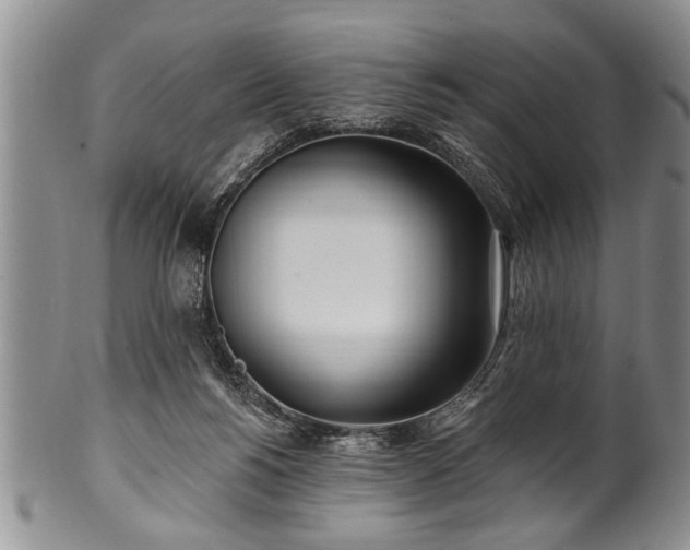 X0000100780168200806261637