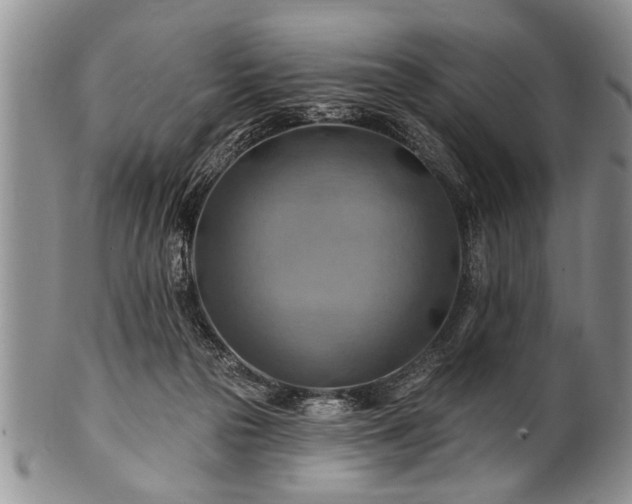 X0000100780169200806261637