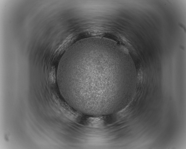 X0000100780170200806261637