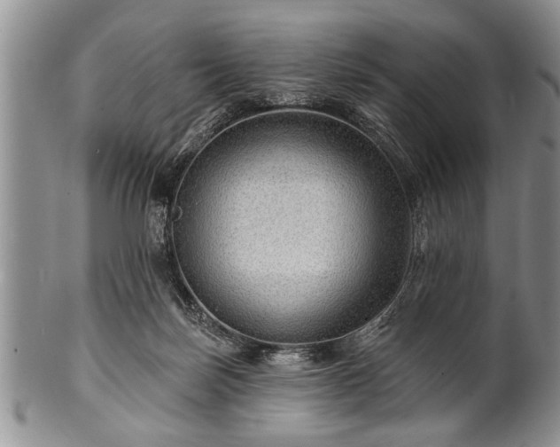 X0000100780171200806261637