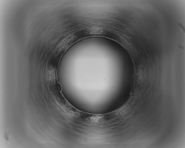 X0000100780172200806261637