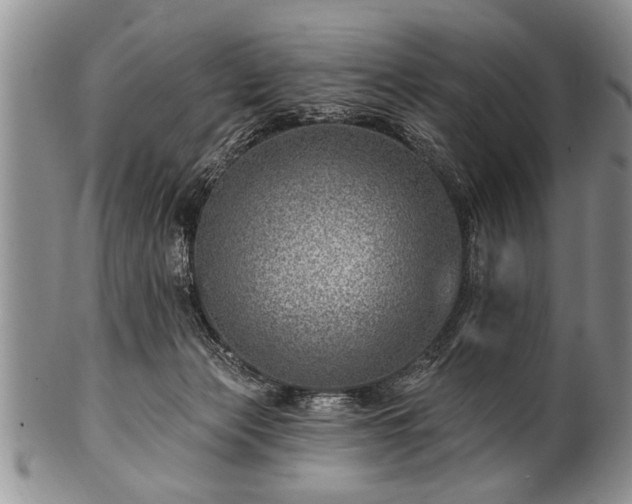 X0000100780173200806261637