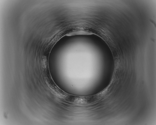 X0000100780174200806261637