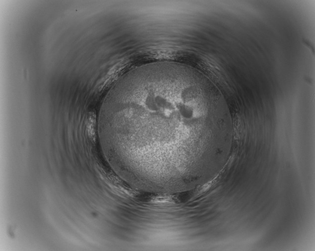 X0000100780175200806261637