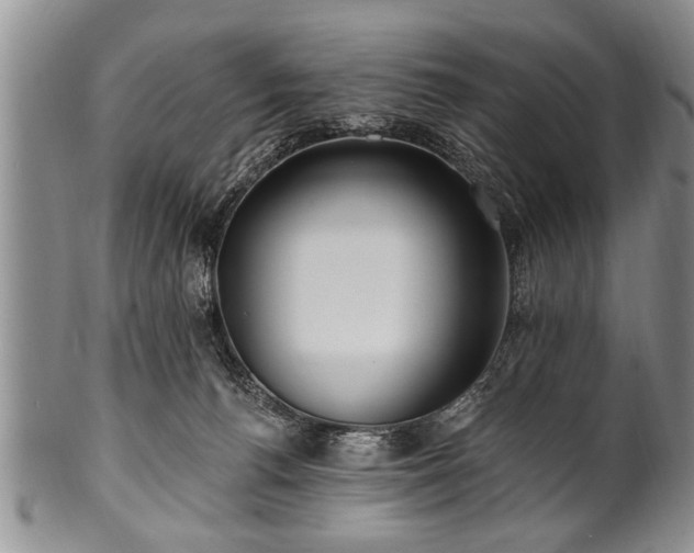 X0000100780176200806261637