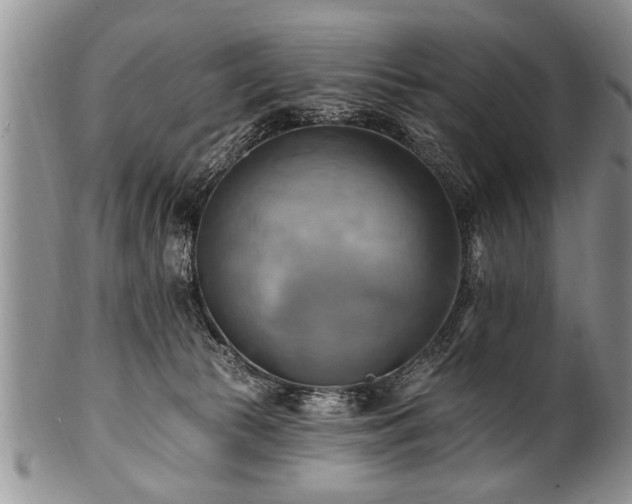 X0000100780177200806261637