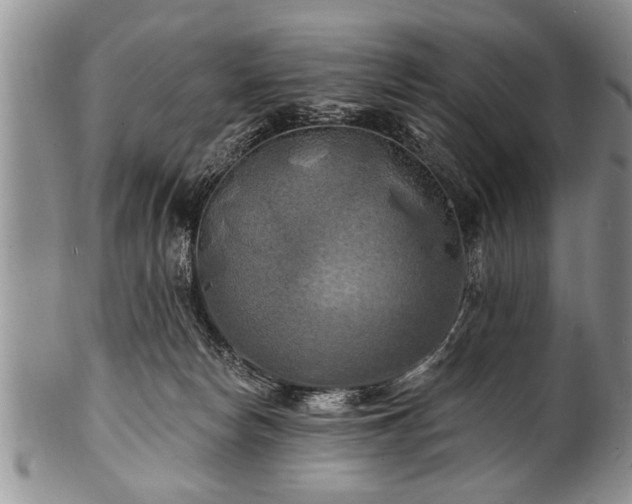 X0000100780178200806261637