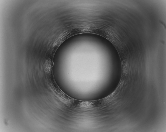 X0000100780179200806261637