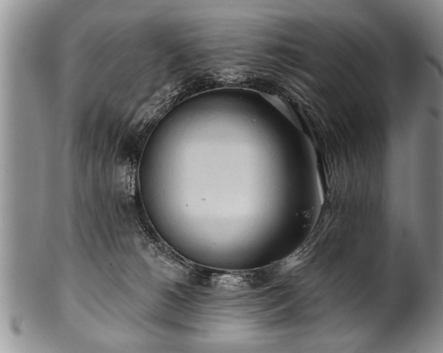 X0000100780180200806261637