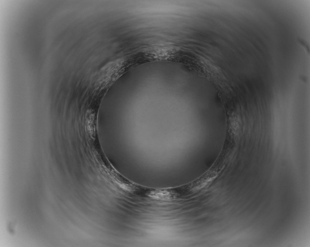 X0000100780181200806261637