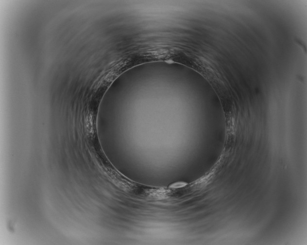 X0000100780182200806261637