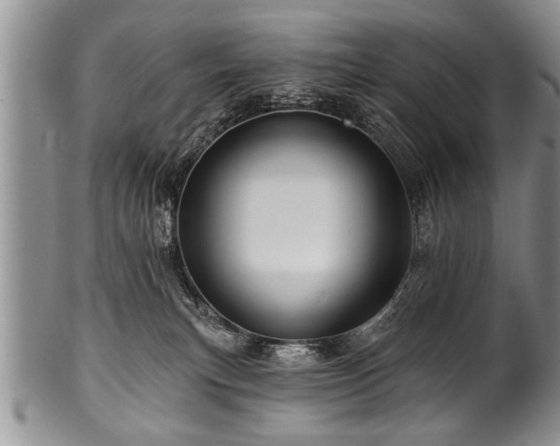 X0000100780183200806261637